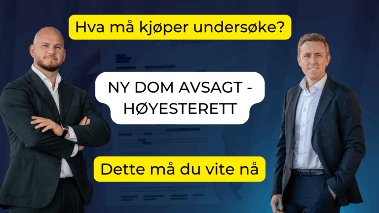 Musedommen - kjøpers undersøkelsesplikt