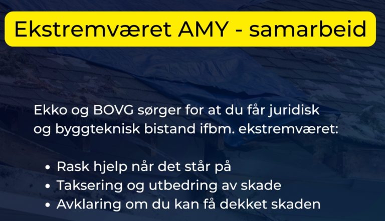 AMY ekstremvær erstatning